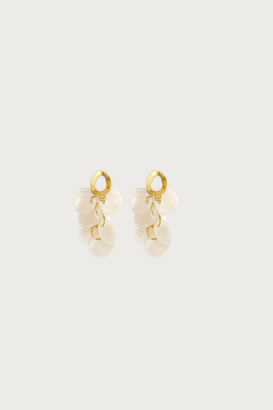 Iridescent Charm Dangling Earrings