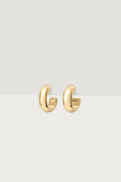 Small Hoop Earrings
