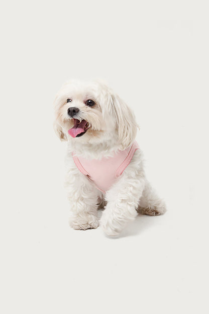 Pawfect Pet Tank Top