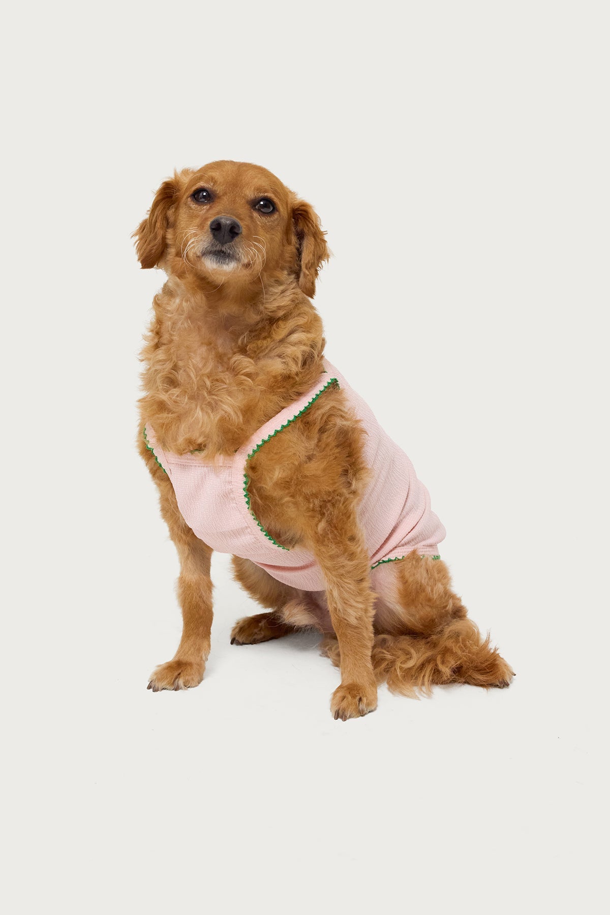 In The Tropics Pet Tank Top