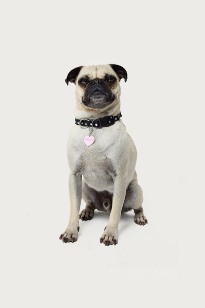 Heart Throb Collar Charm