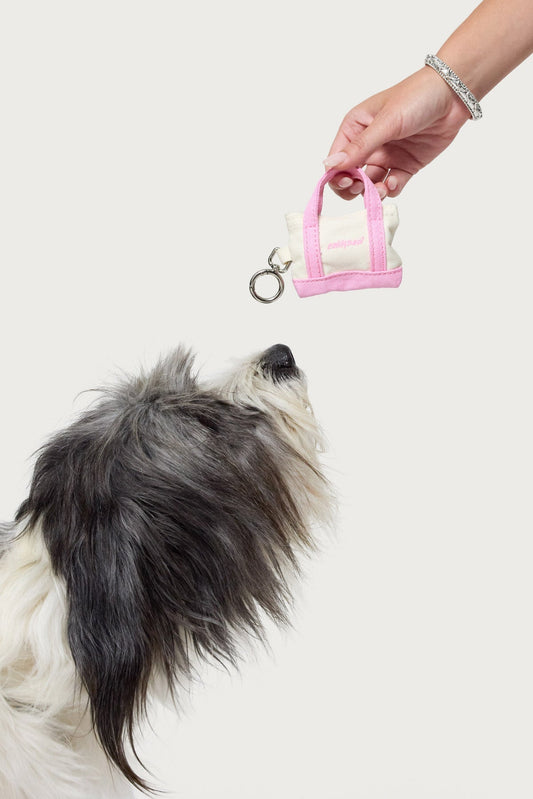 Tidy Tote Poop Bag Holder